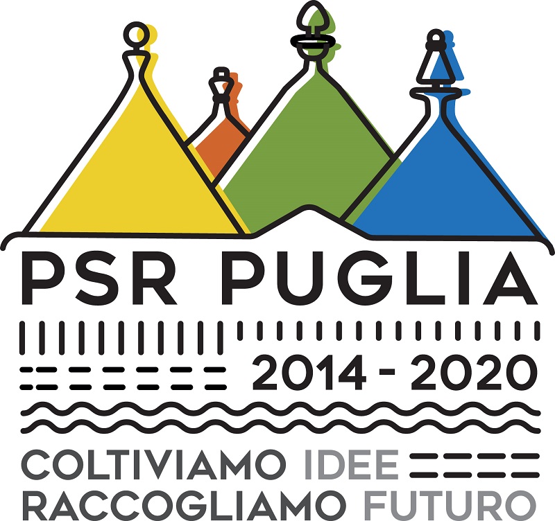 logo PSR 800x752